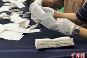 平邑韩国第21届总统选举计票工作启动