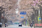平邑共建“花园城市” 北京这场议政会“百花齐放”