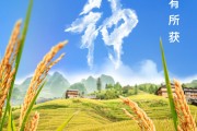 平邑芒种节气小知识来了 夏种作物都有什么？