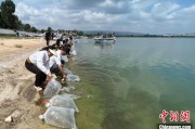 平邑云南江川举行增殖放流活动 逾54万尾鱼游入星云湖